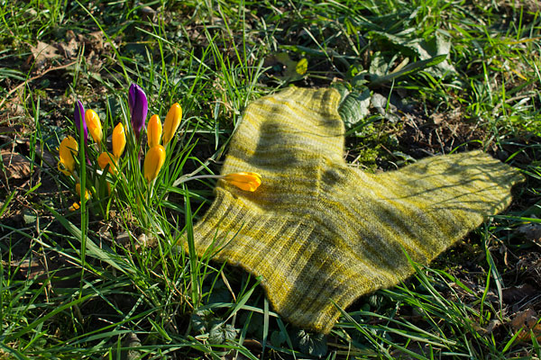 Bild für Beitrag „Hosenmatz“ 7