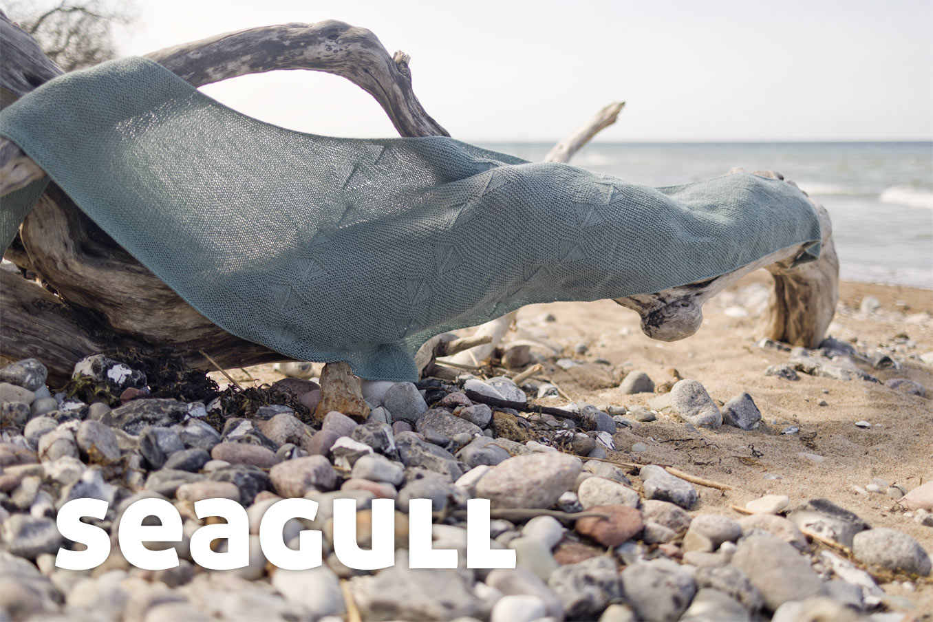 Bild für Beitrag „Seagull“ Titel