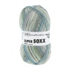 Lang Yarns Super Soxx Silk Color 4-fach, 0408, Rigi